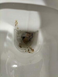 Photo de Caca au lycée