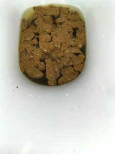 Photo de Grosse chiasse