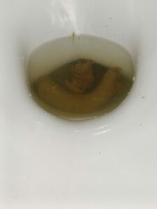 Photo de Grosse crotte coupée en deux