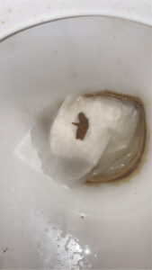 Photo de Caca émoustillé