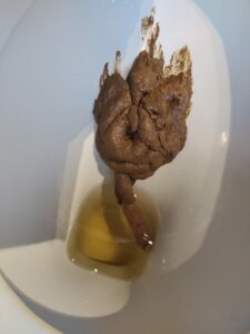 Photo de grosse envie au lycée