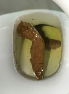 Photo de Gros caca