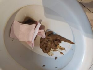 Photo de caca à la récréation de 10h
