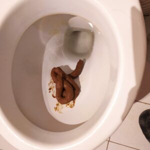 Photo de le serpent
