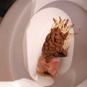 Photo de énorme bouse à l’internat