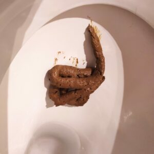 Photo de caca du soir a l internat
