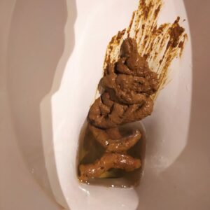 Photo de caca du matin
