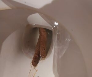 Photo de caca du soir