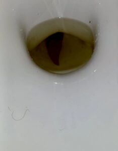 Photo de Ici ça chie // snap💩💨👻 matj7557