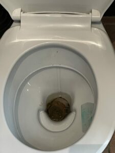 Photo de Constipé