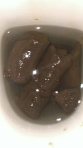 Photo de Caca de Bucheron