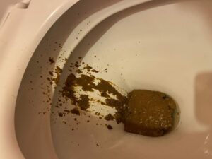 Photo de Baveux