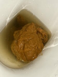 Photo de Coulis mangue