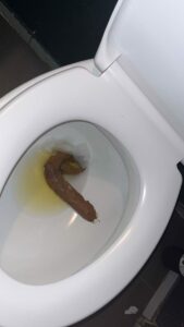 Photo de Belle crotte au boulot