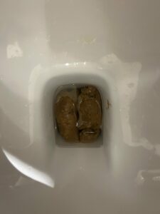 Photo de Caca bien rangé