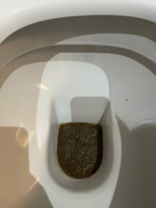 Photo de Purée de caca