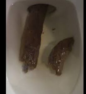 Photo de Bien soigné