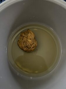 Photo de Caca