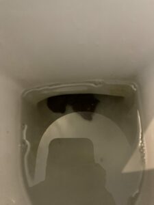 Photo de Le petit discret et coincé