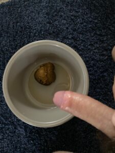 Photo de Caca