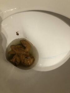 Photo de Ouais pas mal je trouve