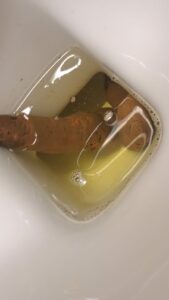 Photo de Caca en forme de penis