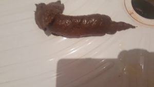 Photo de Caca à la douche