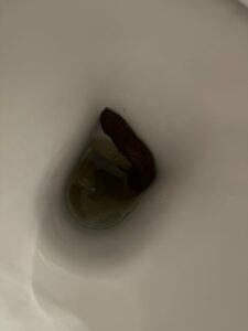 Photo de The Handle