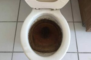Photo de La caca explosion