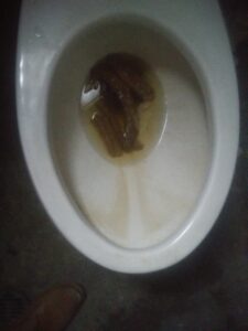 Photo de Longaniza party