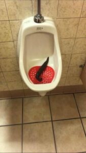 Photo de Glad I wasn&rsquo;t the one that had to clean my poop up