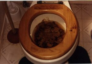 Photo de This website is full of shit (pun intended) and so is my toilet bowl.