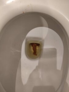 Photo de It looks like a dick