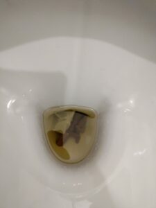 Photo de Poop and pee