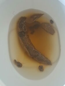 Photo de The big f shit i make