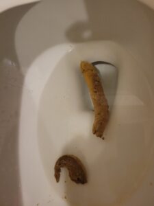 Photo de My 3 yo pooped a penis