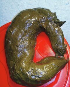 Photo de My Big Turd