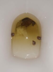 Photo de Poop