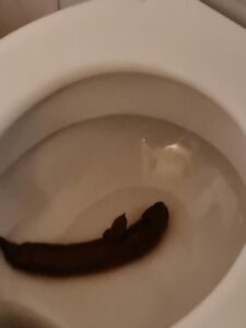 Photo de From 7 year old