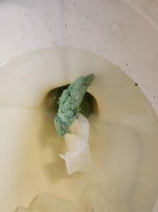 Photo de Squidward