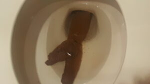 Photo de Big poop