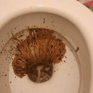 Photo de The Poop Nebula