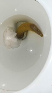 Photo de Monster log