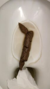 Photo de nice long brownie