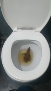 Photo de Sunday poo