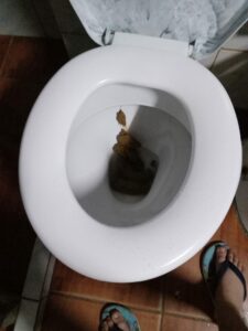 Photo de Big big dump