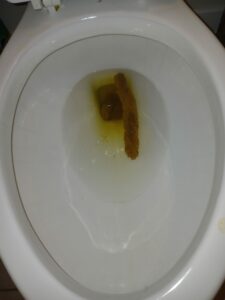 Photo de The stiffy