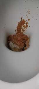 Photo de Cream carameal