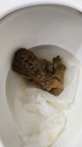 Photo de Log
