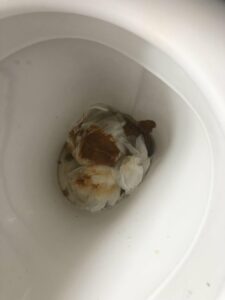Photo de Poop